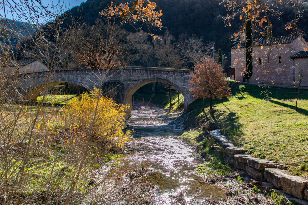 Bosco di San Francesco, Assisi