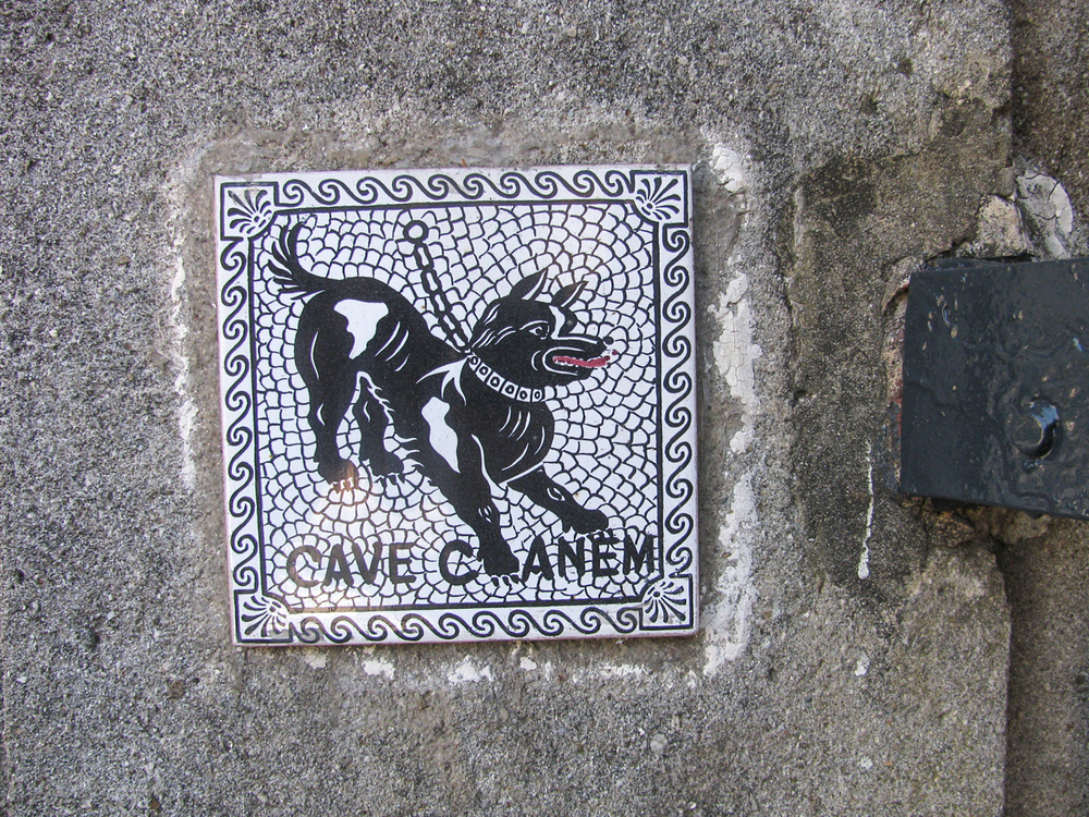 Casa del Poeta Tragico e Mosaico del Cave Canem, Pompei