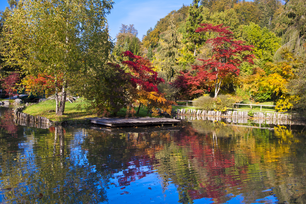 Orto Botanico di Lubiana