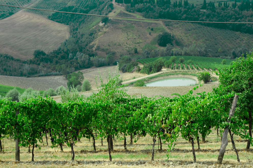 Parco Regionale della Vena del Gesso, Brisighella